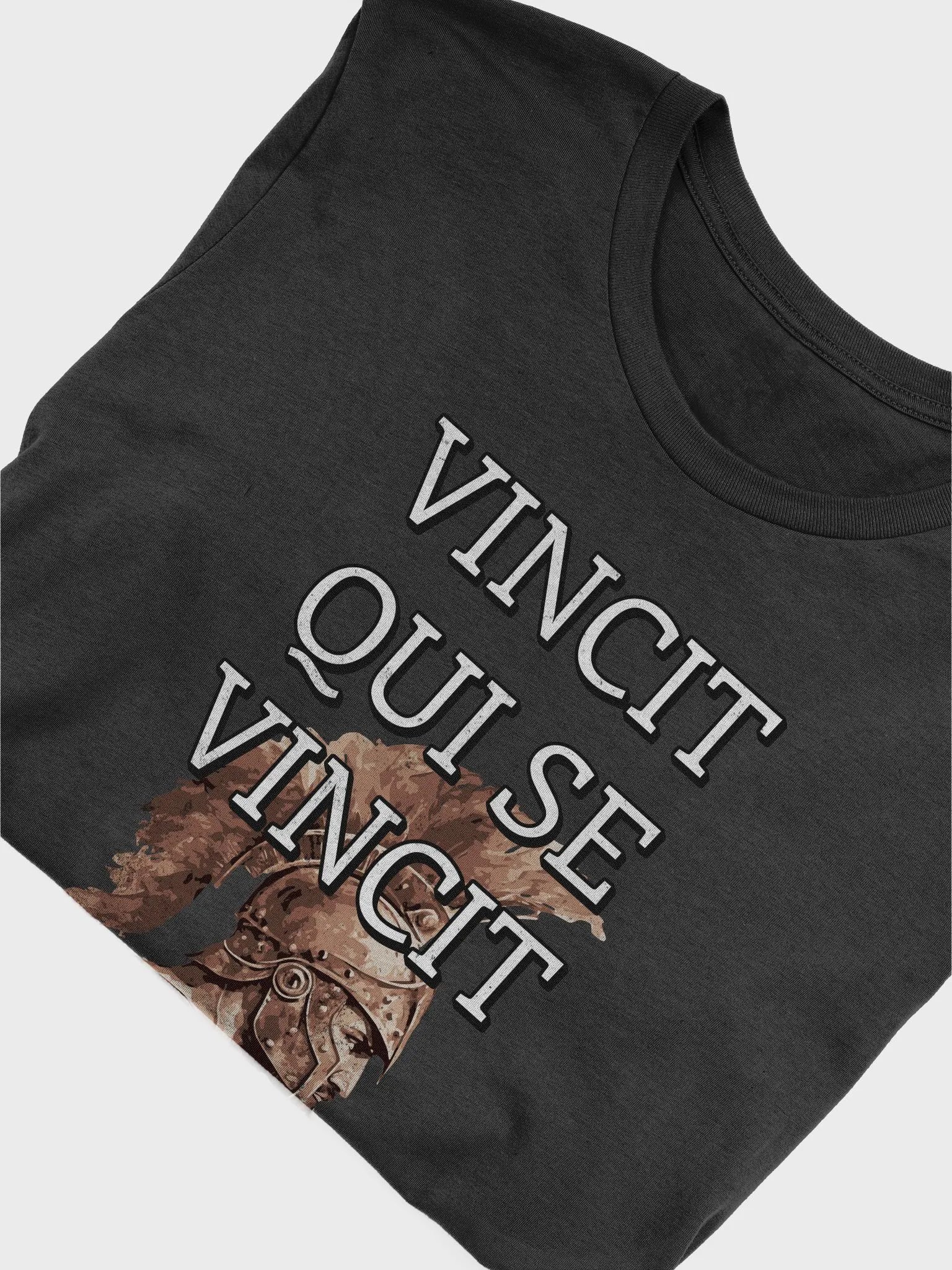 Vincit Qui Se Vincit Tshirt product image (7)