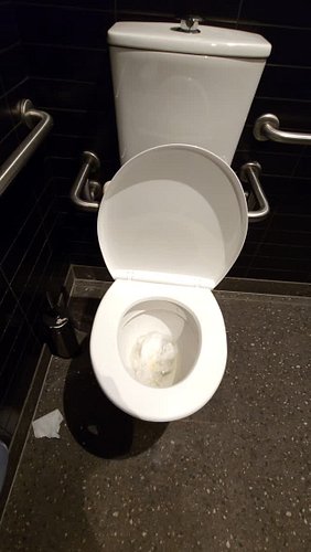 📍 Kings Park, NSW ​​(accessible)

#maccasdunnies #kingspark #visitnsw #mcdonalds #bathroom