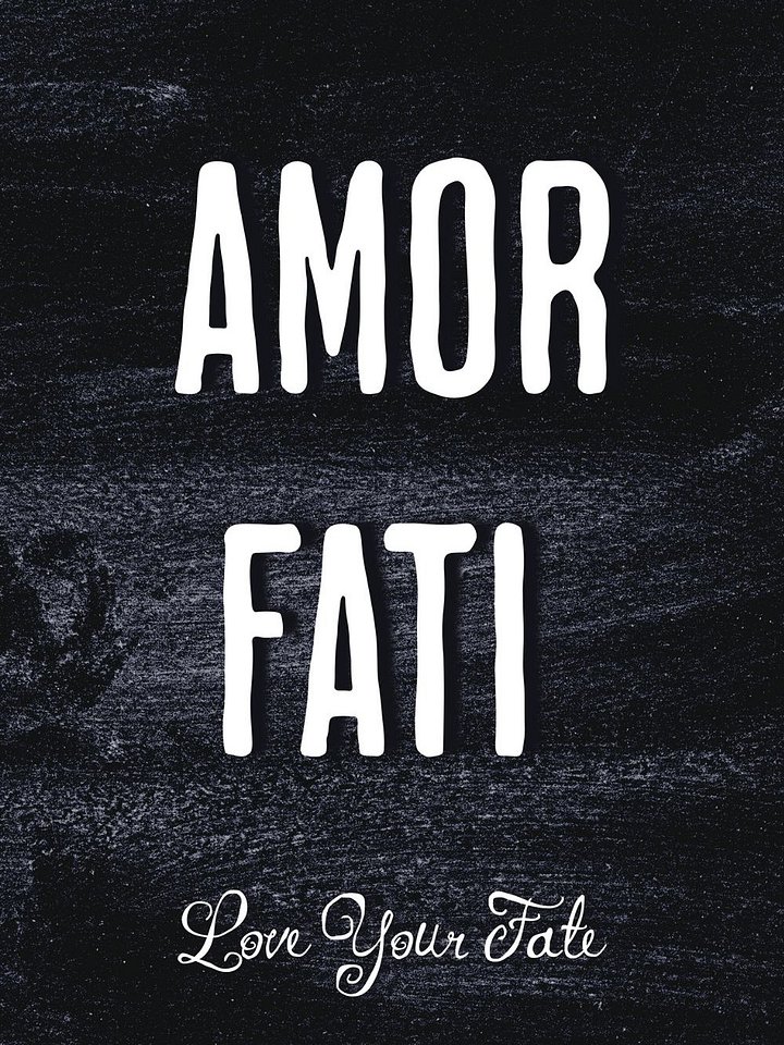 Amor Fati Framed Poster product image (1)