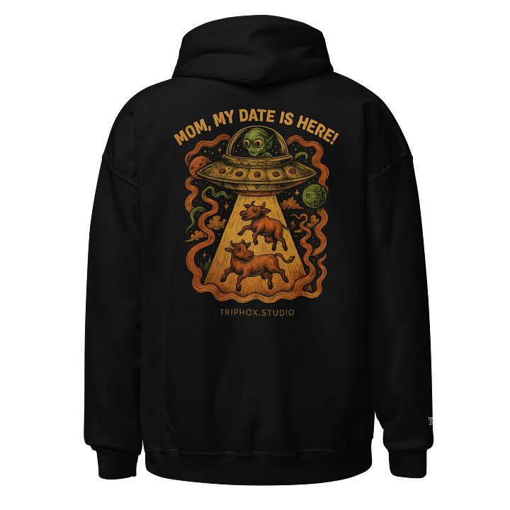 Extraterrestrial Encounter Hoodie product image (1)