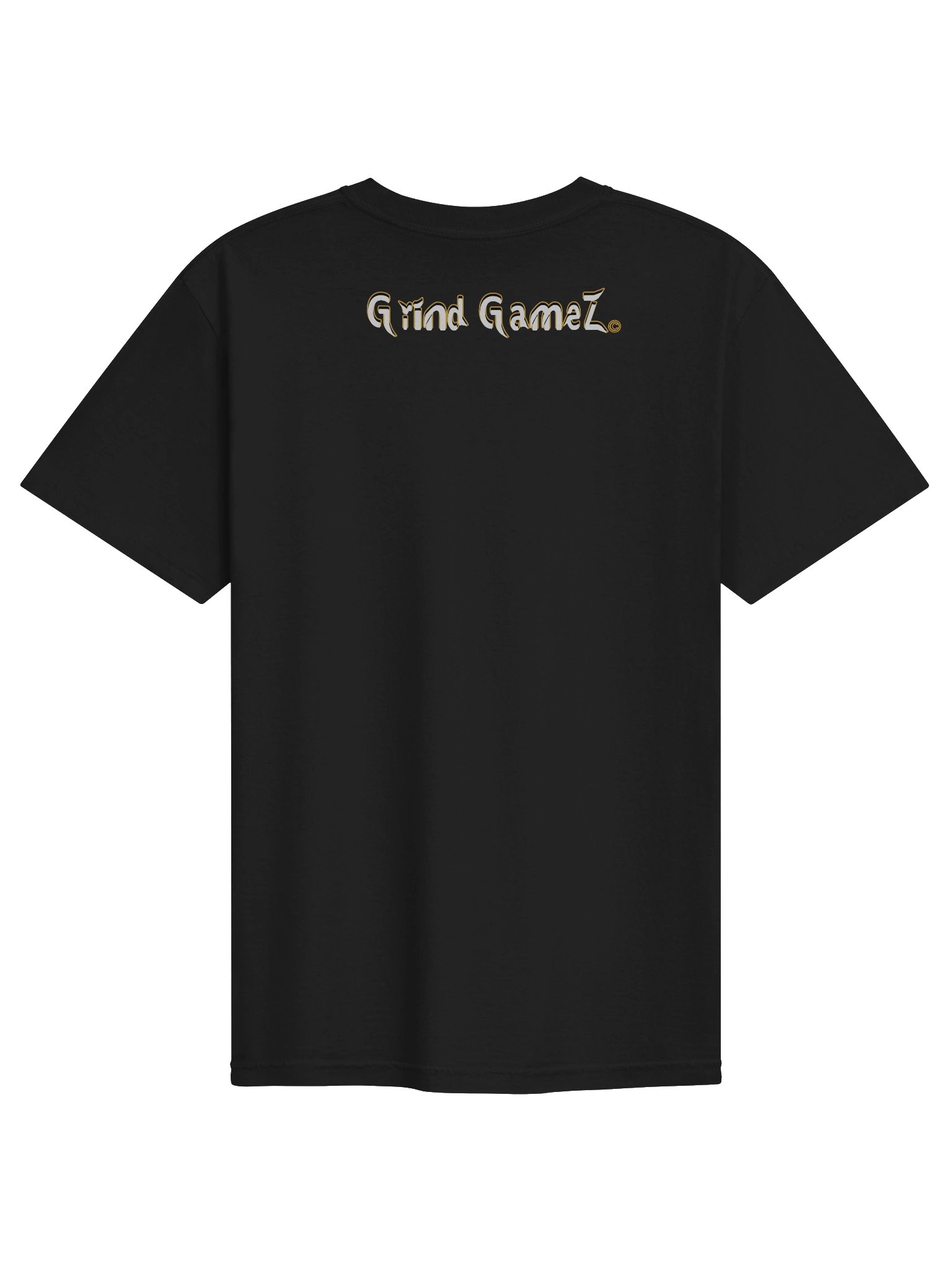 GGz Premium Heavyweight Tee product image (15)