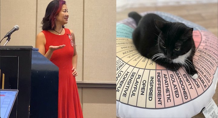 Emotions Wheel Video Lecture Clip product image (1)
