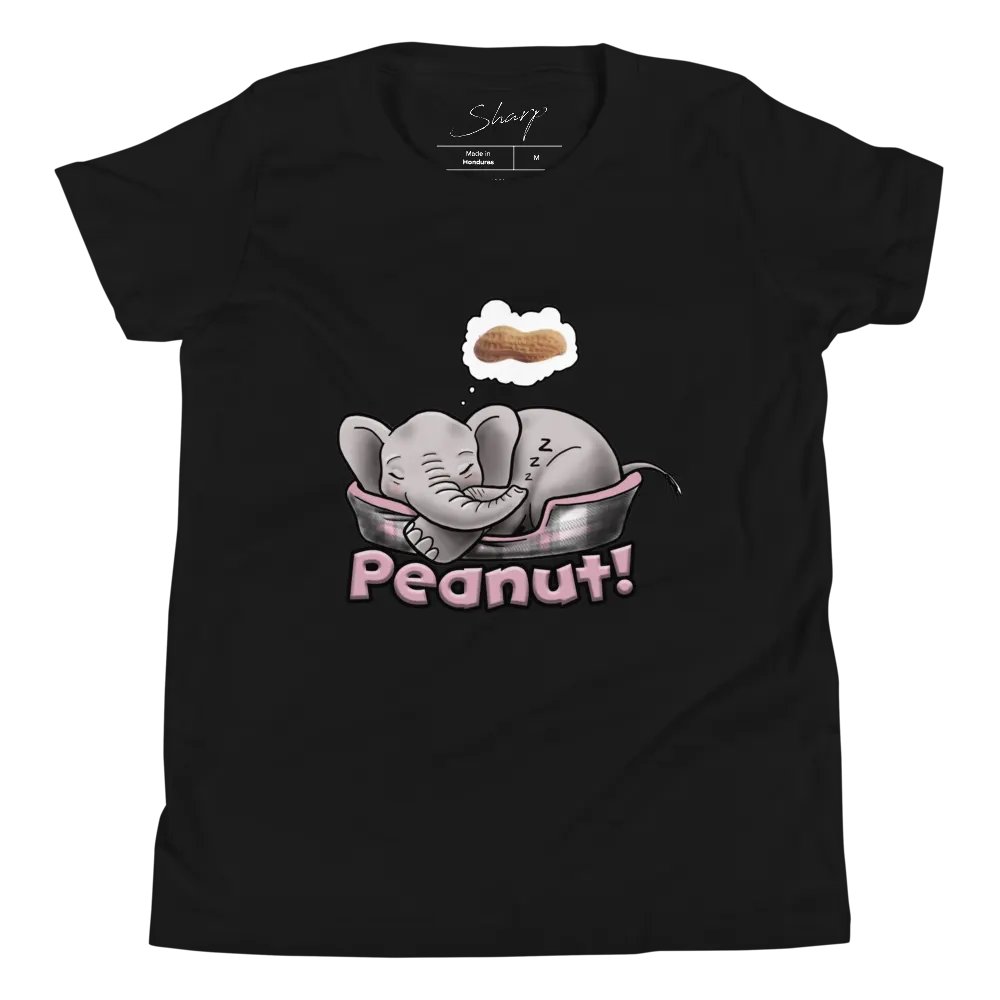 Sleepy Peanut - SFA Youth T-Shirt product image (1)