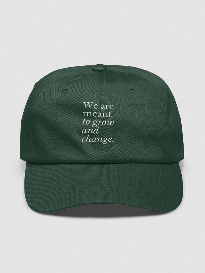 We are meant to grow and change dad hat product image (1)