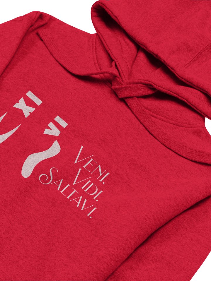 Veni. Vidi. Saltavi. • Premium Hoodie product image (1)