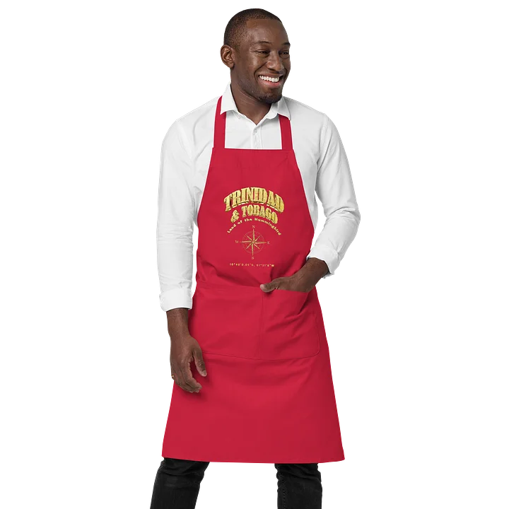 Compass - Trinidad and Tobago - Vintage Gold | Organic Cotton Apron | 4 Colors product image (2)