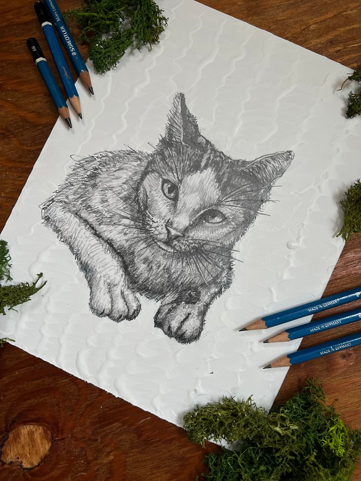 Pet Portrait (Set of 4) product image (2)