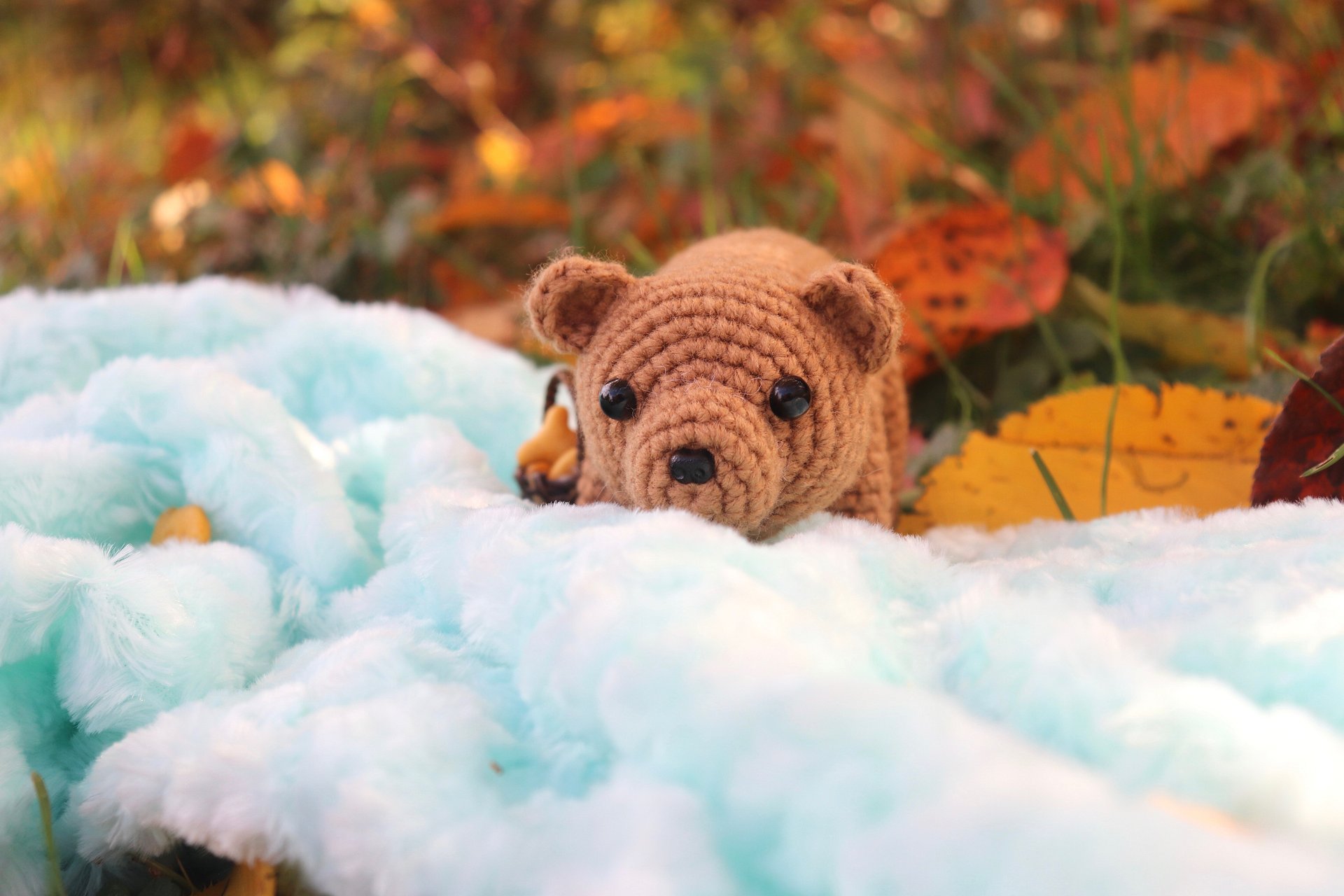 Ollie the Bear PDF product image (3)