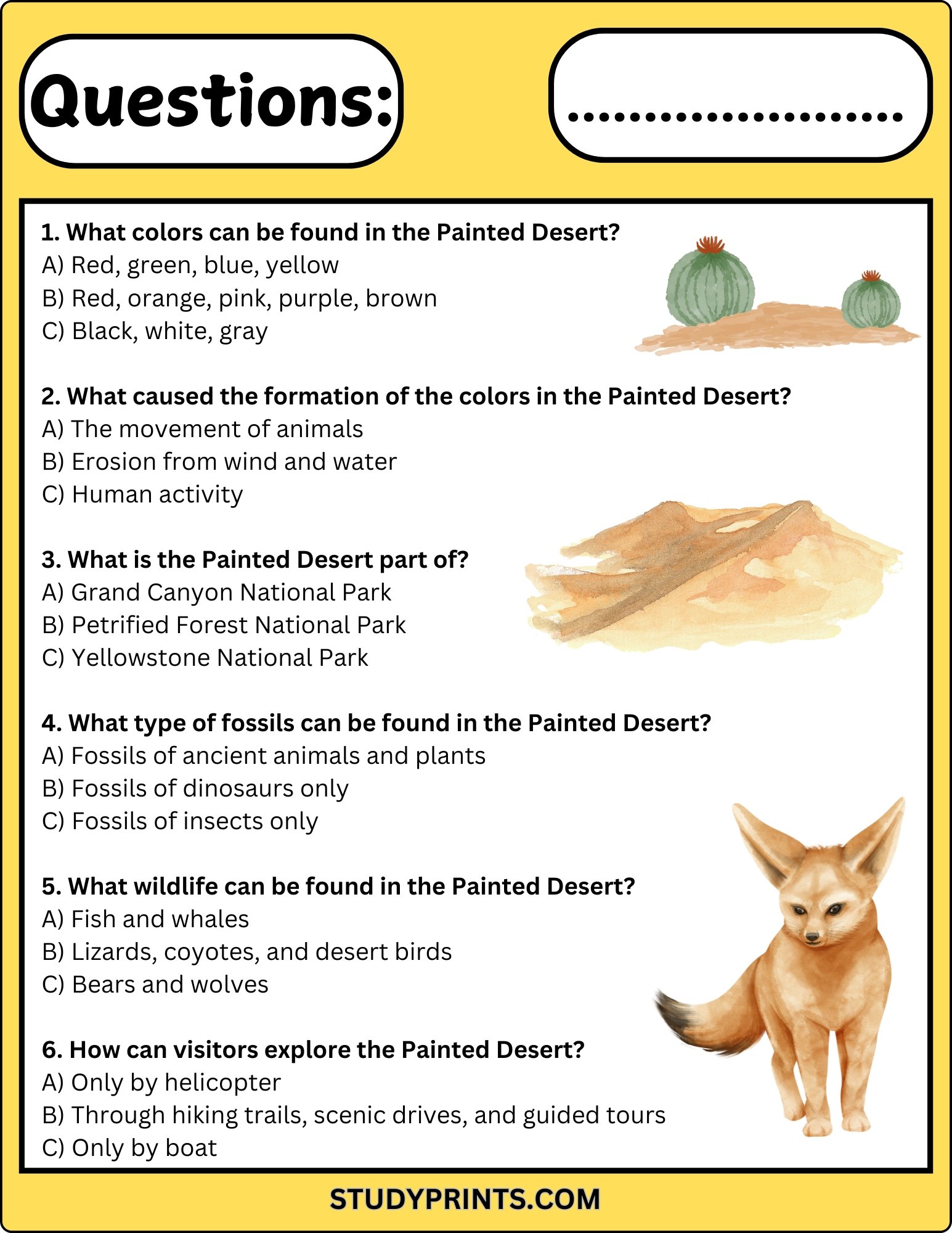 The Painted Desert Reading Comprehension Worksheet product image (3)