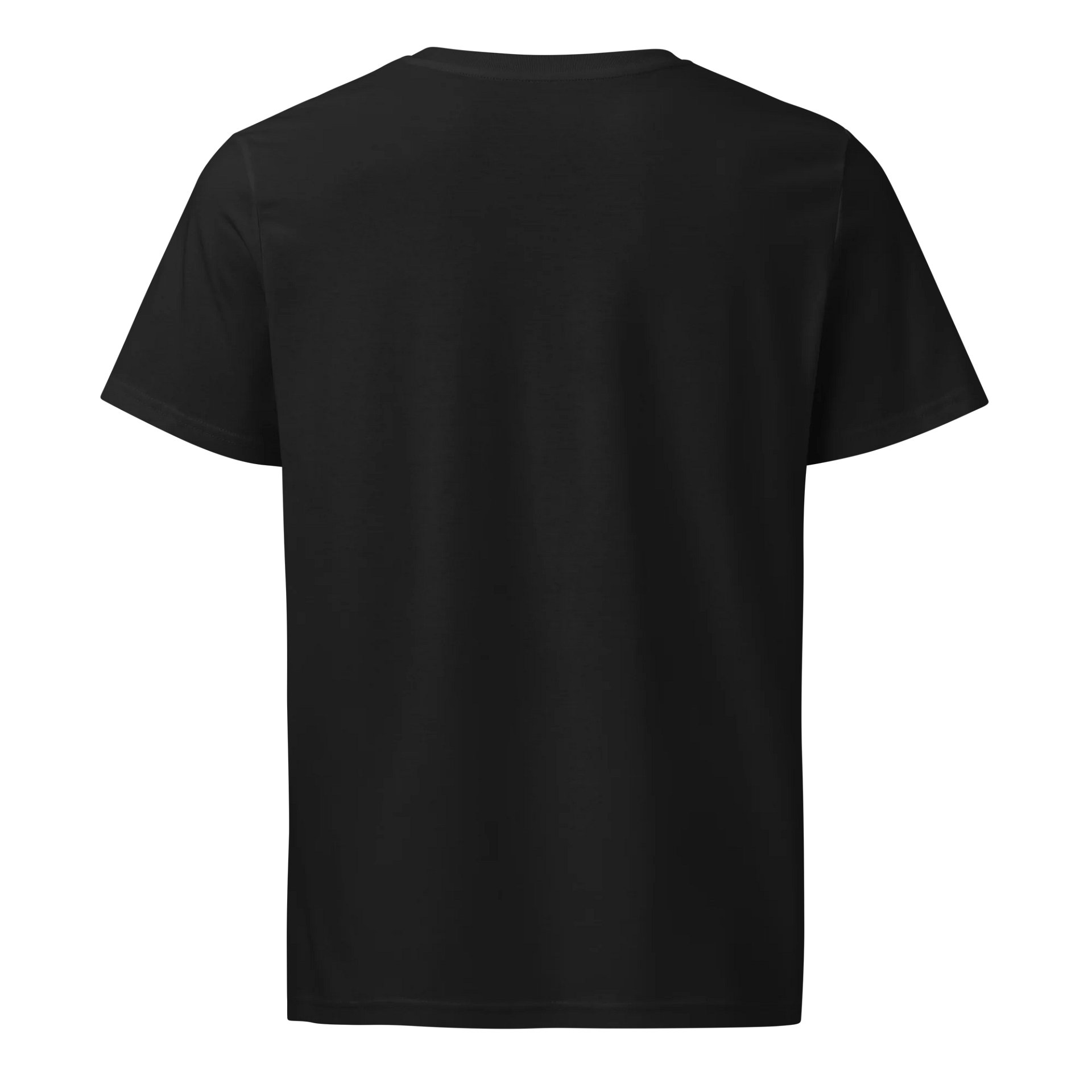DTAC Hustle Stylized Organic T-Shirt product image (6)