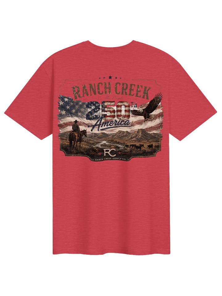 America 250 Tee product image (5)