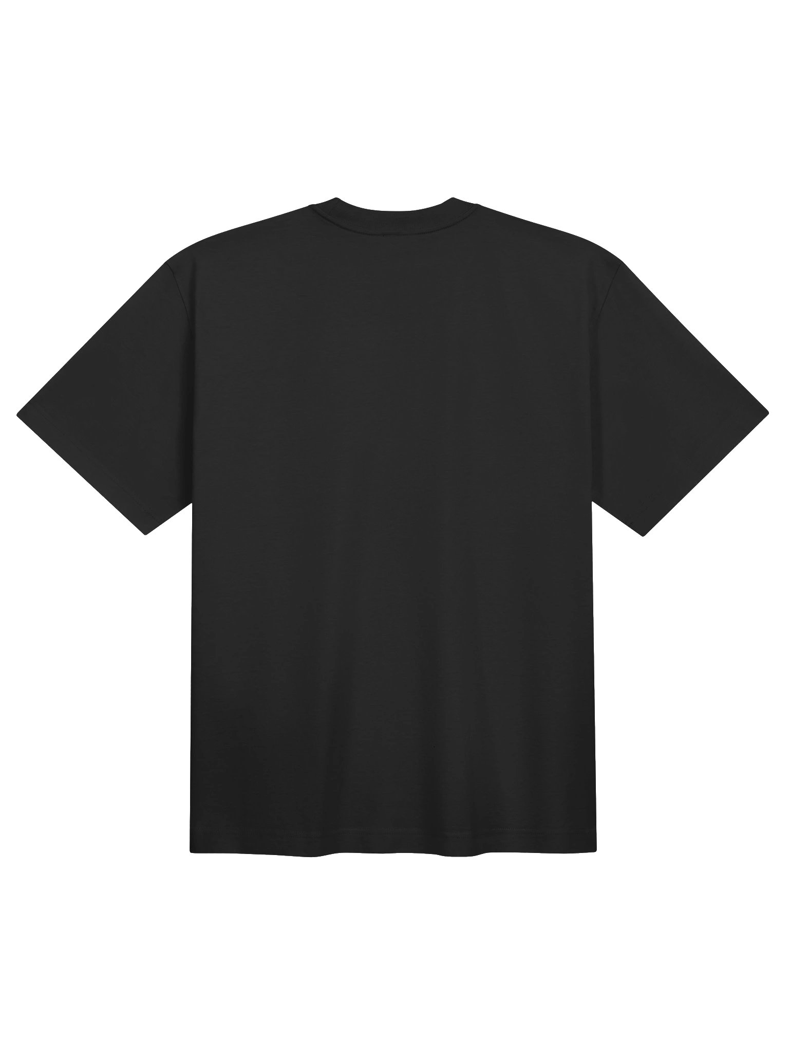 LUMIX Creators Vintage Tee product image (2)