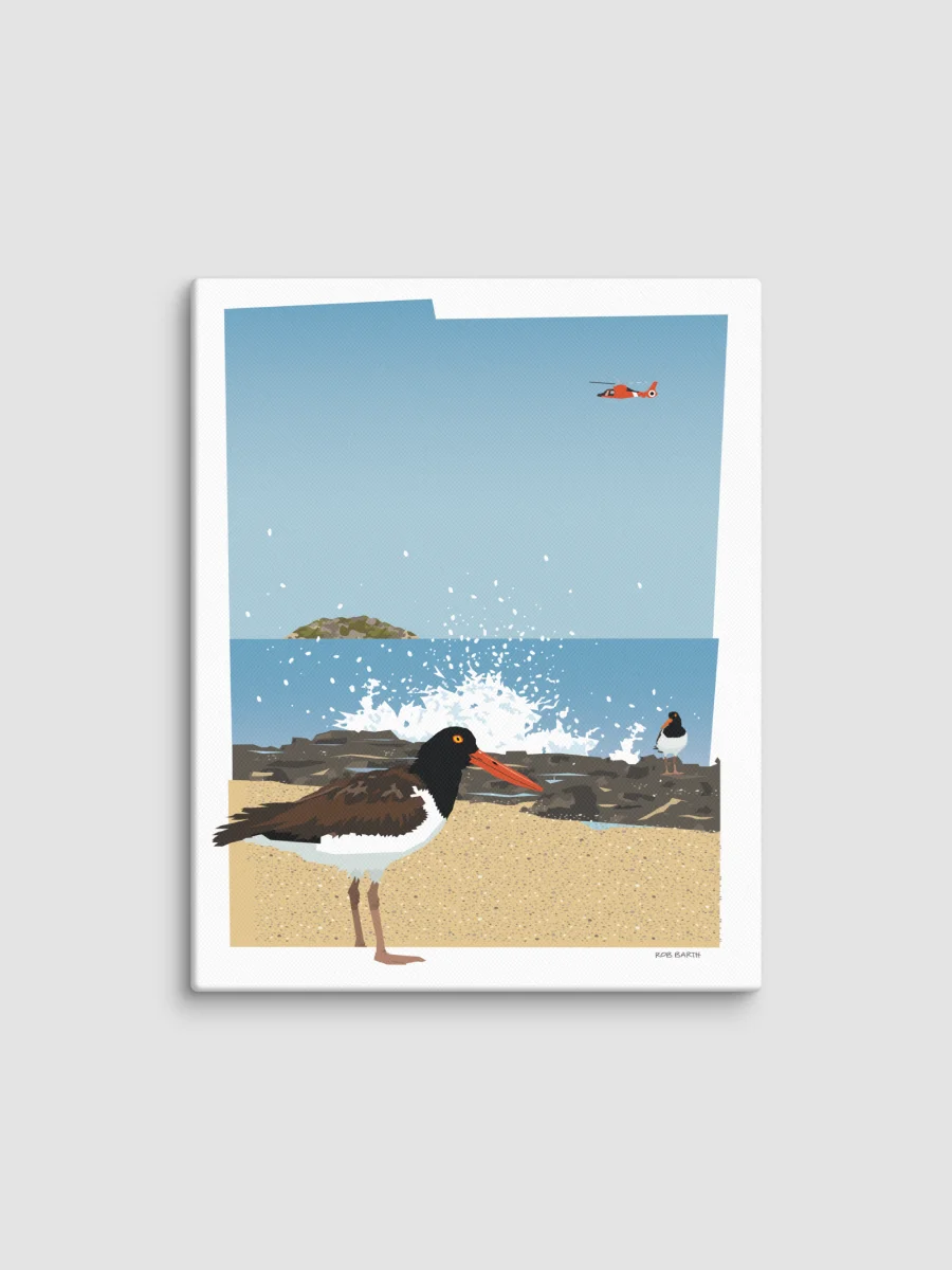 Oyster Catchers product image (1)