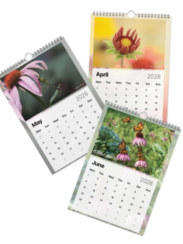 2026 Wall Calendar product image (3)