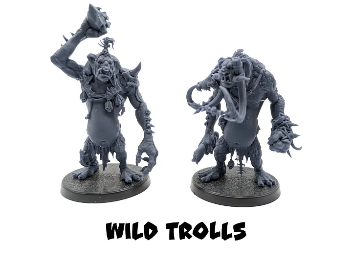 Wild Goblins Fantasy Football Team - Brutefun Miniatures product image (2)