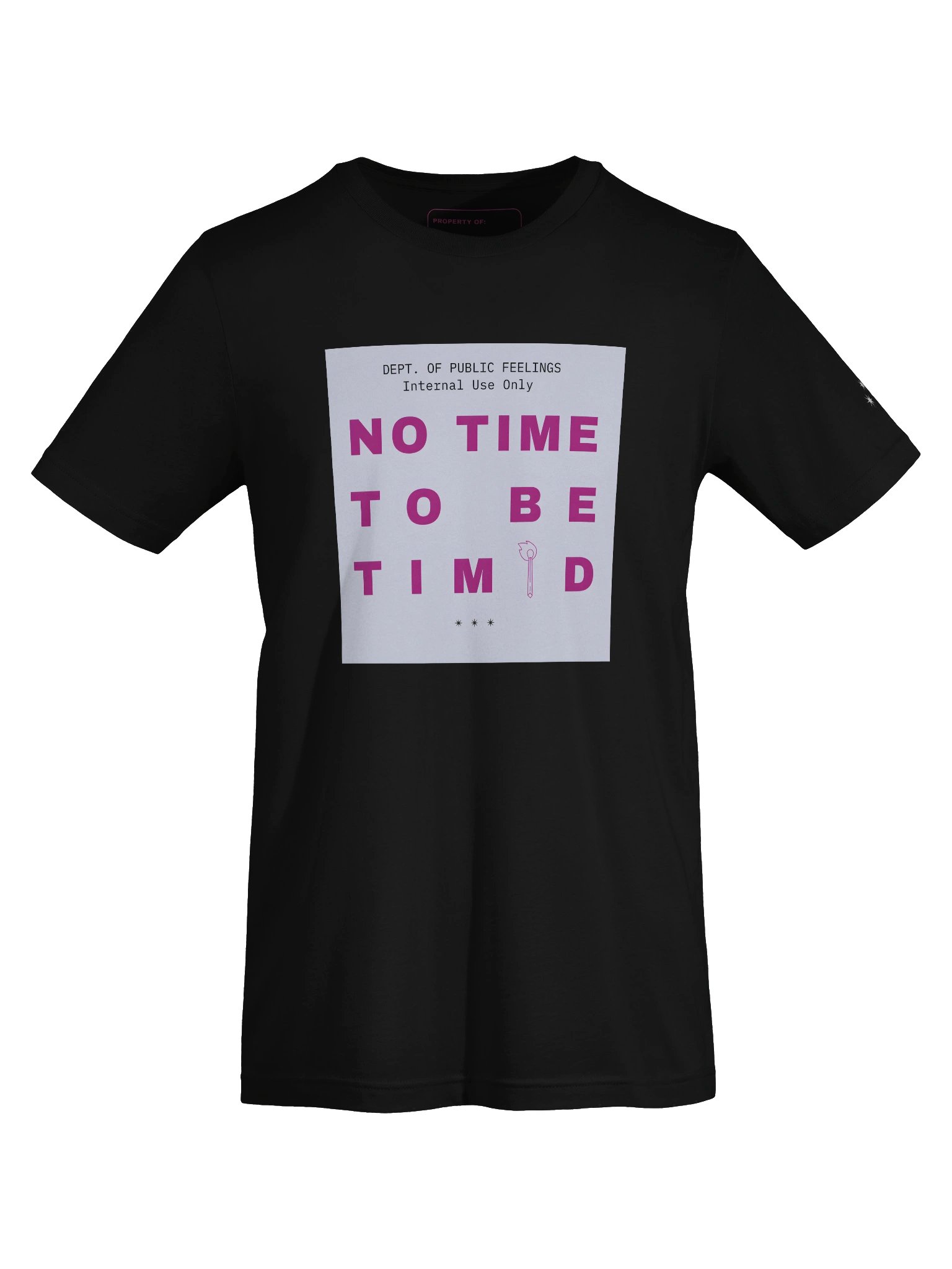 No Time to Be Timid — Internal Use Only Tee product image (5)