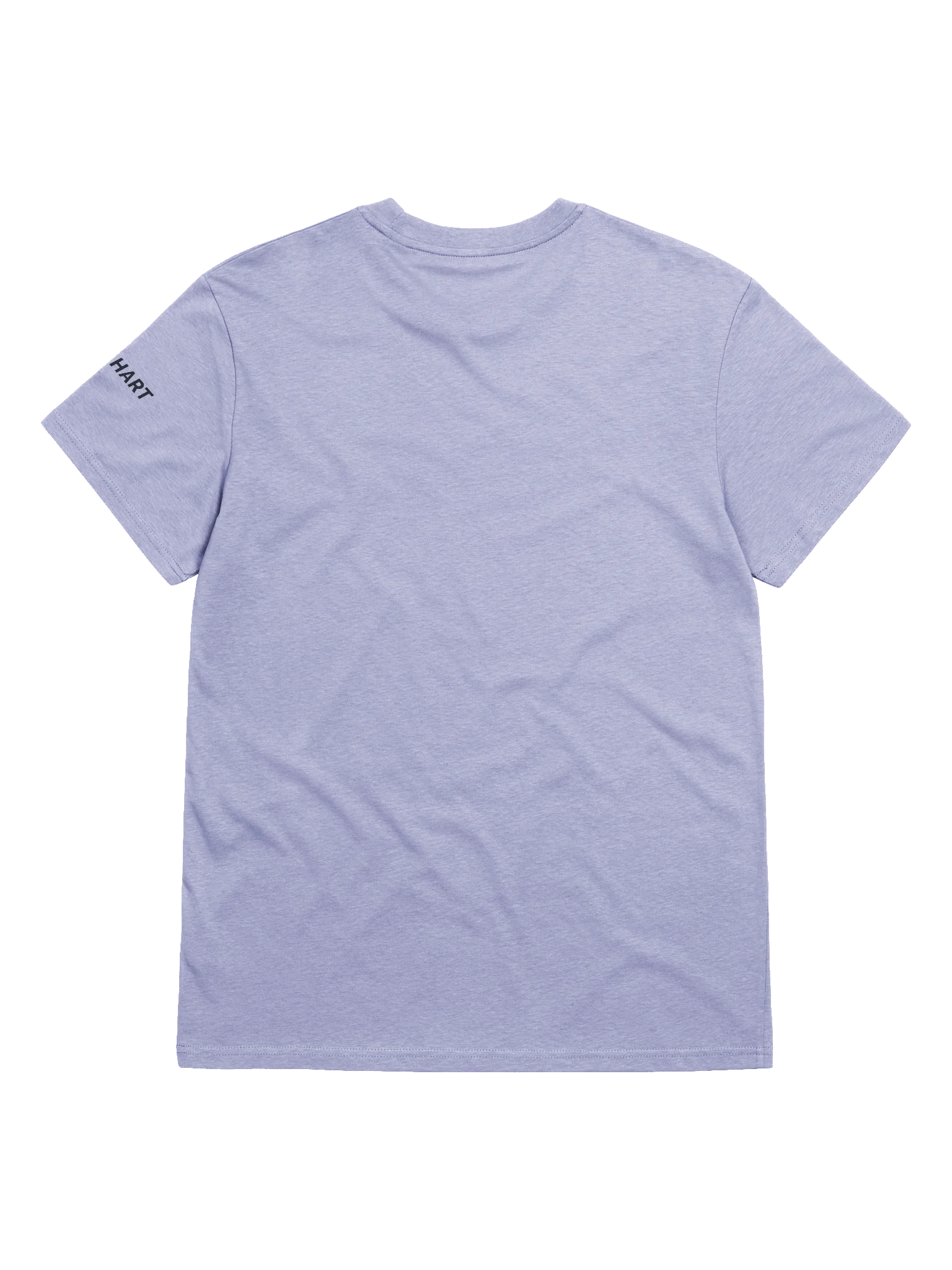 The Source of Strength T-Shirt product image (2)