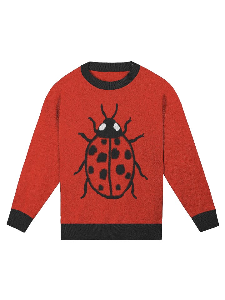 Ladybug Relaxed Jacquard Sweater – Knit Pullover with Lucky Insect Design product image (4)