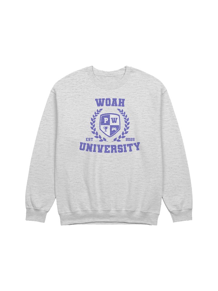WOAH UNIVERSITY SWEATSHIRT product image (1)