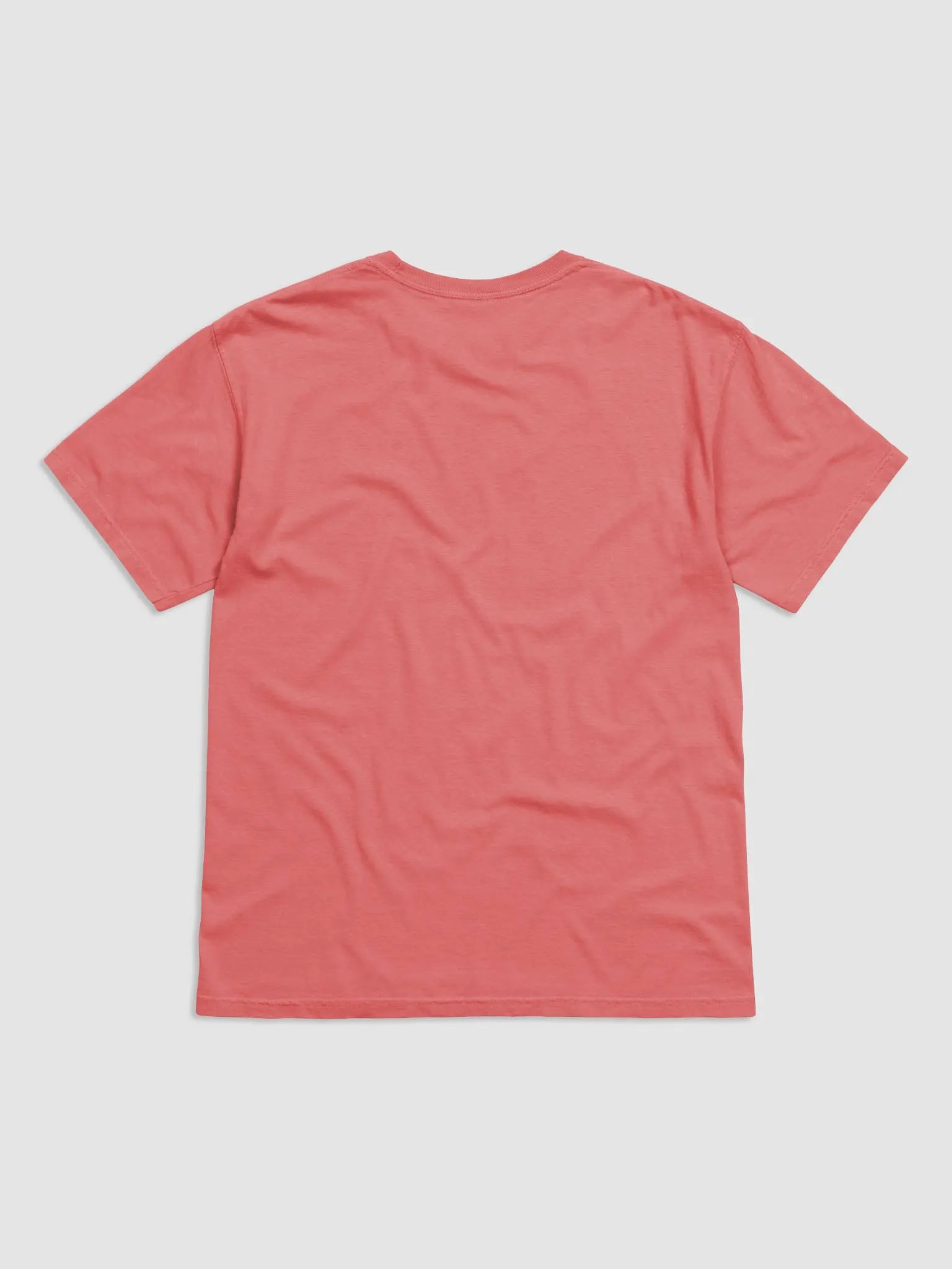 Bubbly and a B*tch (teal design) garment-dyed tee product image (3)