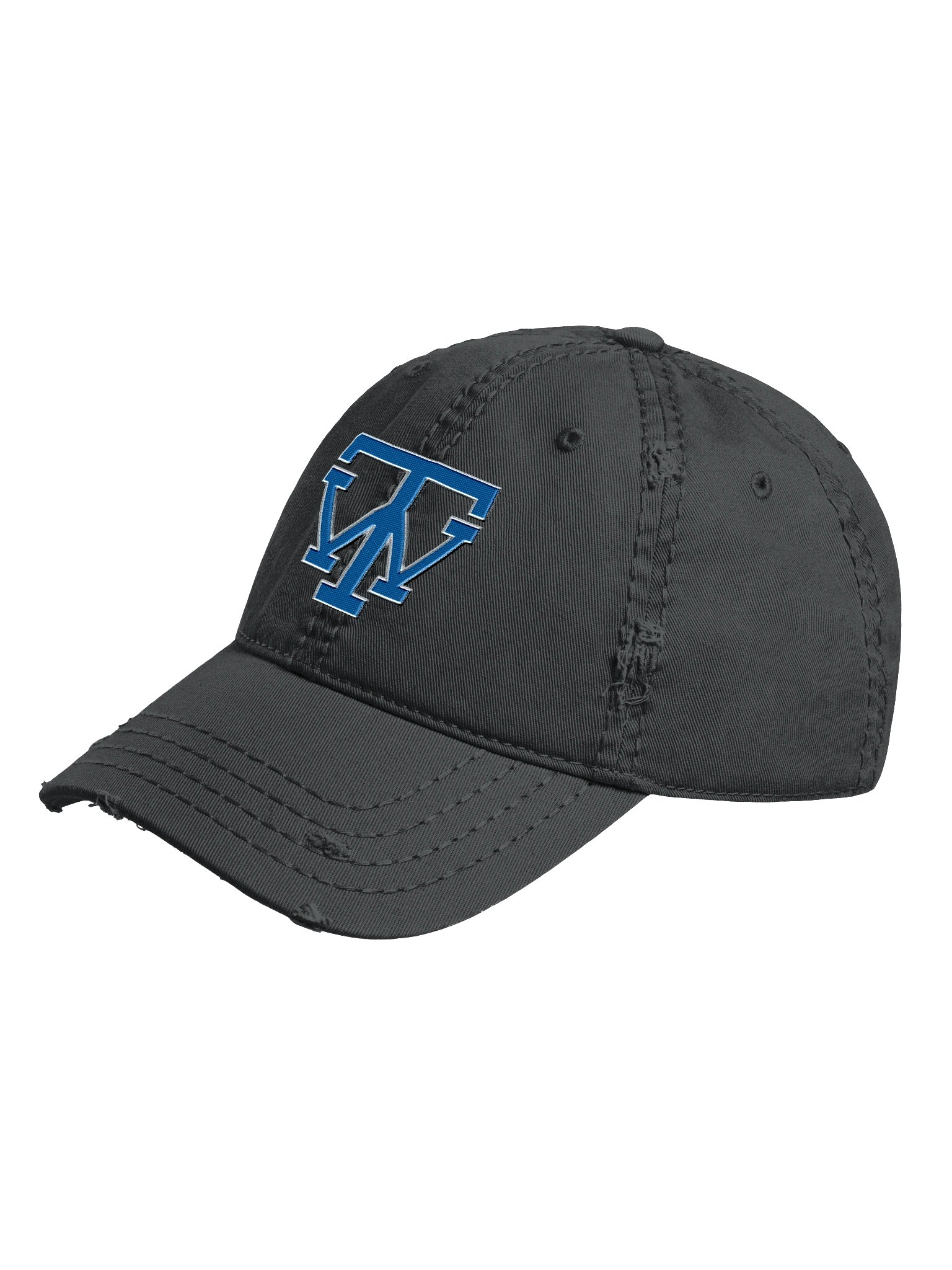 TW Logo Distressed Cap product image (2)