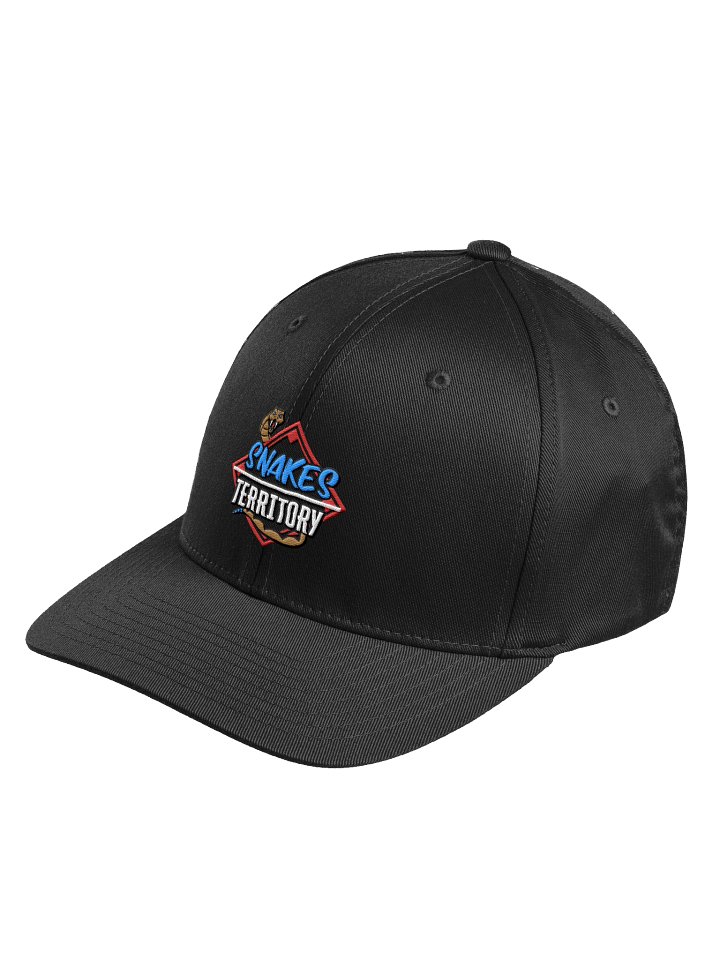 Fitted Hat product image (1)
