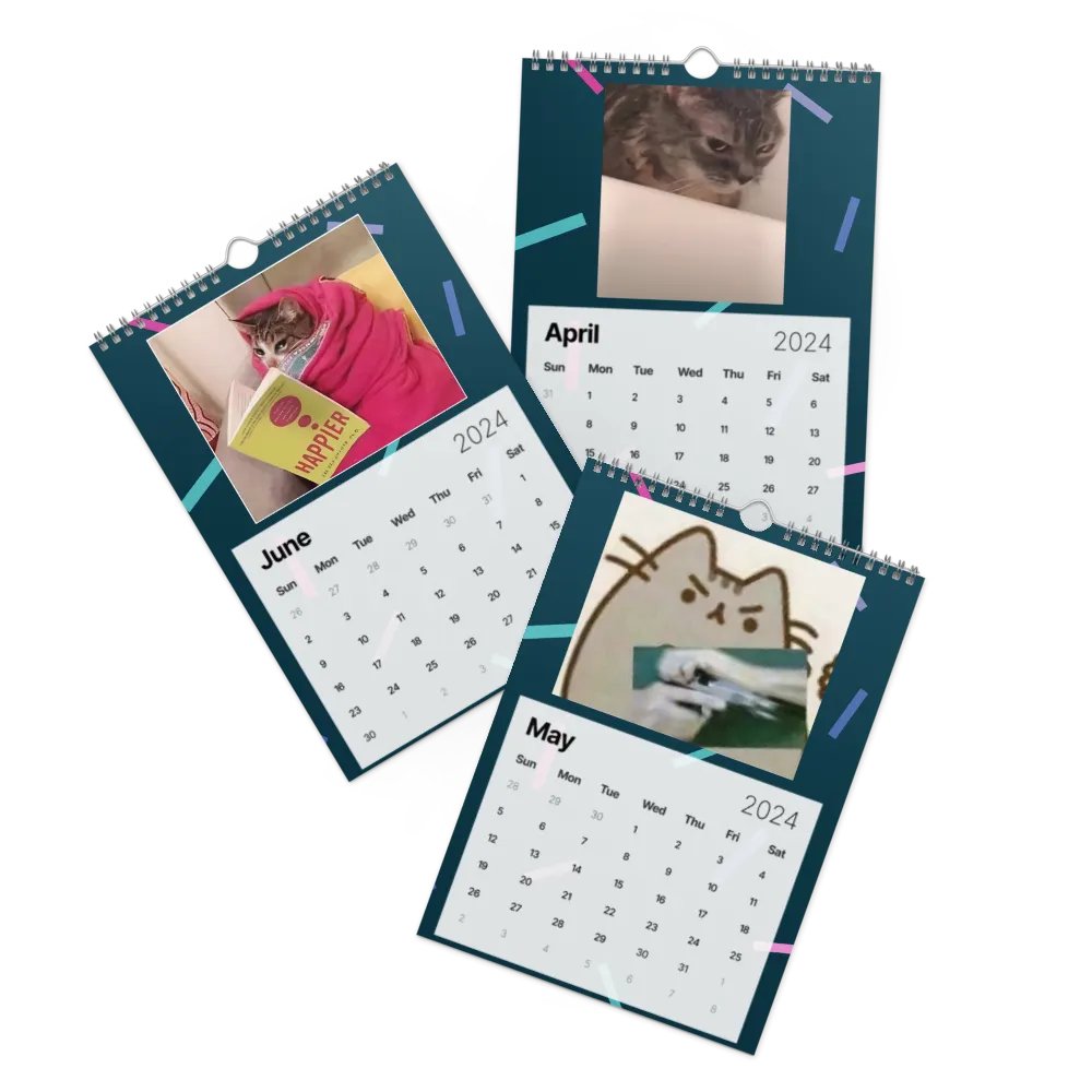 Wall Calendar (2024): Meme Cats product image (3)