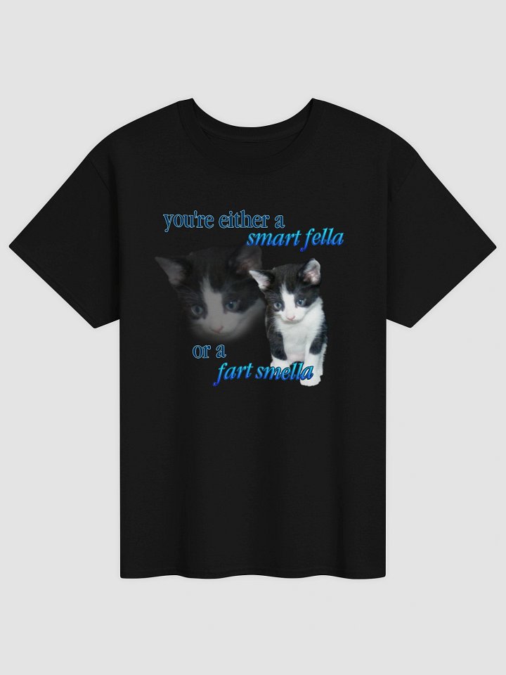 Smart Fella or a Fart Smella - Cat T-shirt product image (33)
