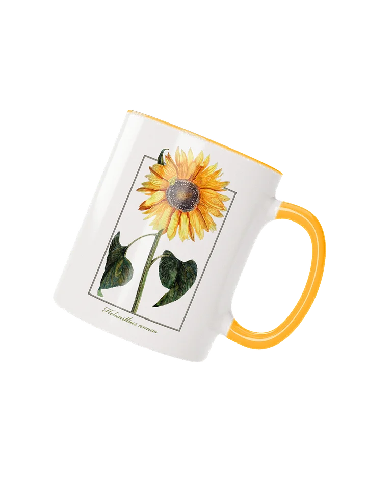 single sunflower (Helianthus anuus) - Ceramic Mug product image (2)