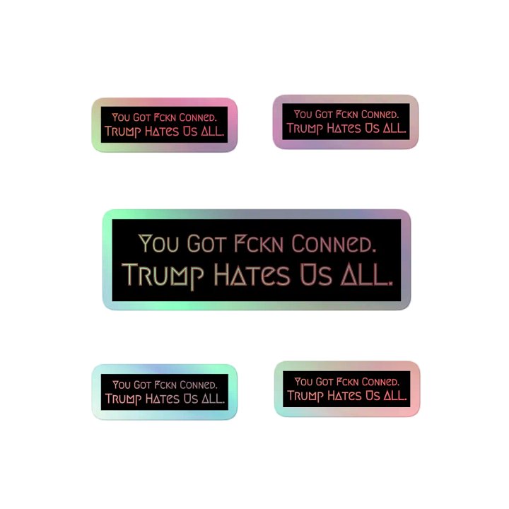 Resistor, You Got Fckn Conned (words only), NSFW Holo Sticker Pack product image (2)