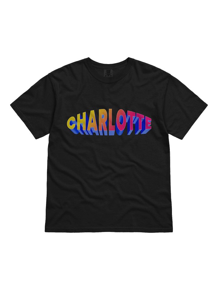 CHARLOTTE 3D Gradient Tee product image (1)