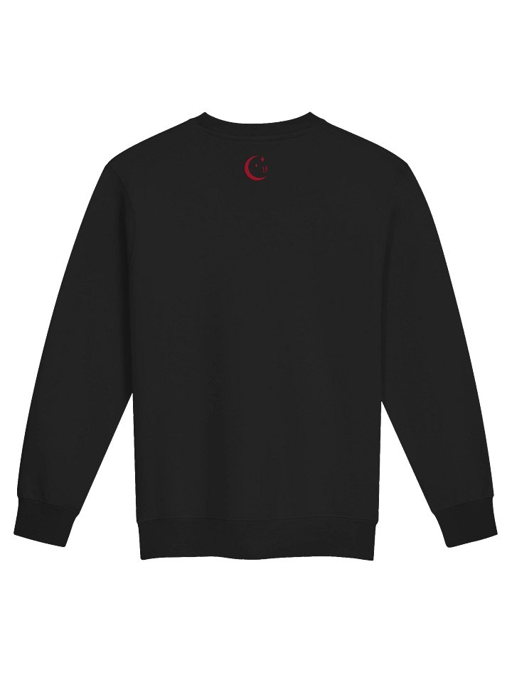 Pocket of Manticore Long Sleeve product image (6)