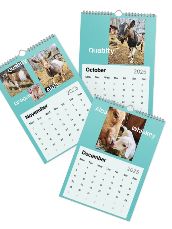 BrowncoatGoat Barn's Goats of 2025 product image (2)
