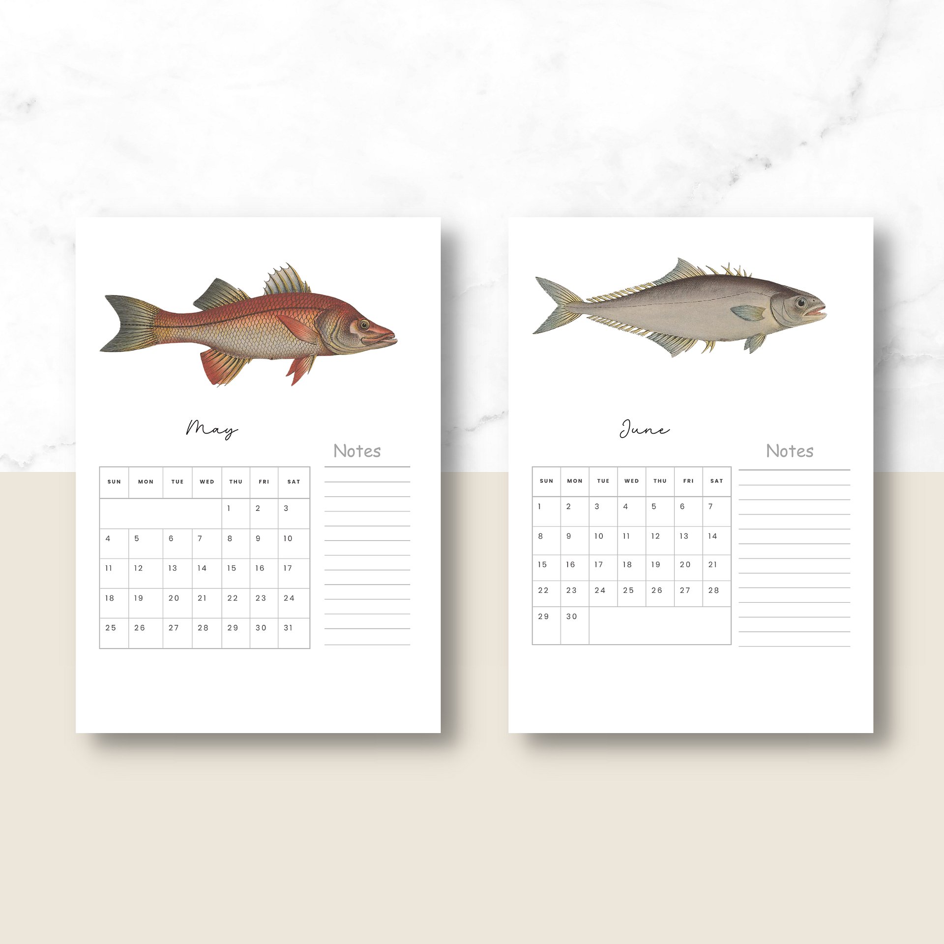 2025- 2026 PDF Calendar: Ocean Life product image (4)