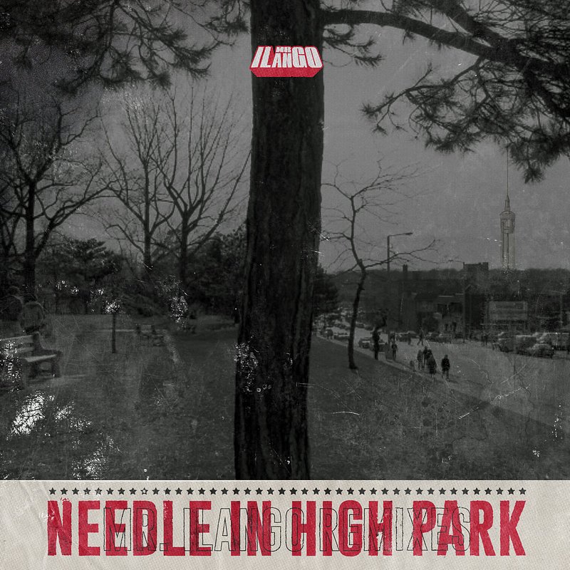 Mr. ilango "Needle In High Park Remix"  (2026)