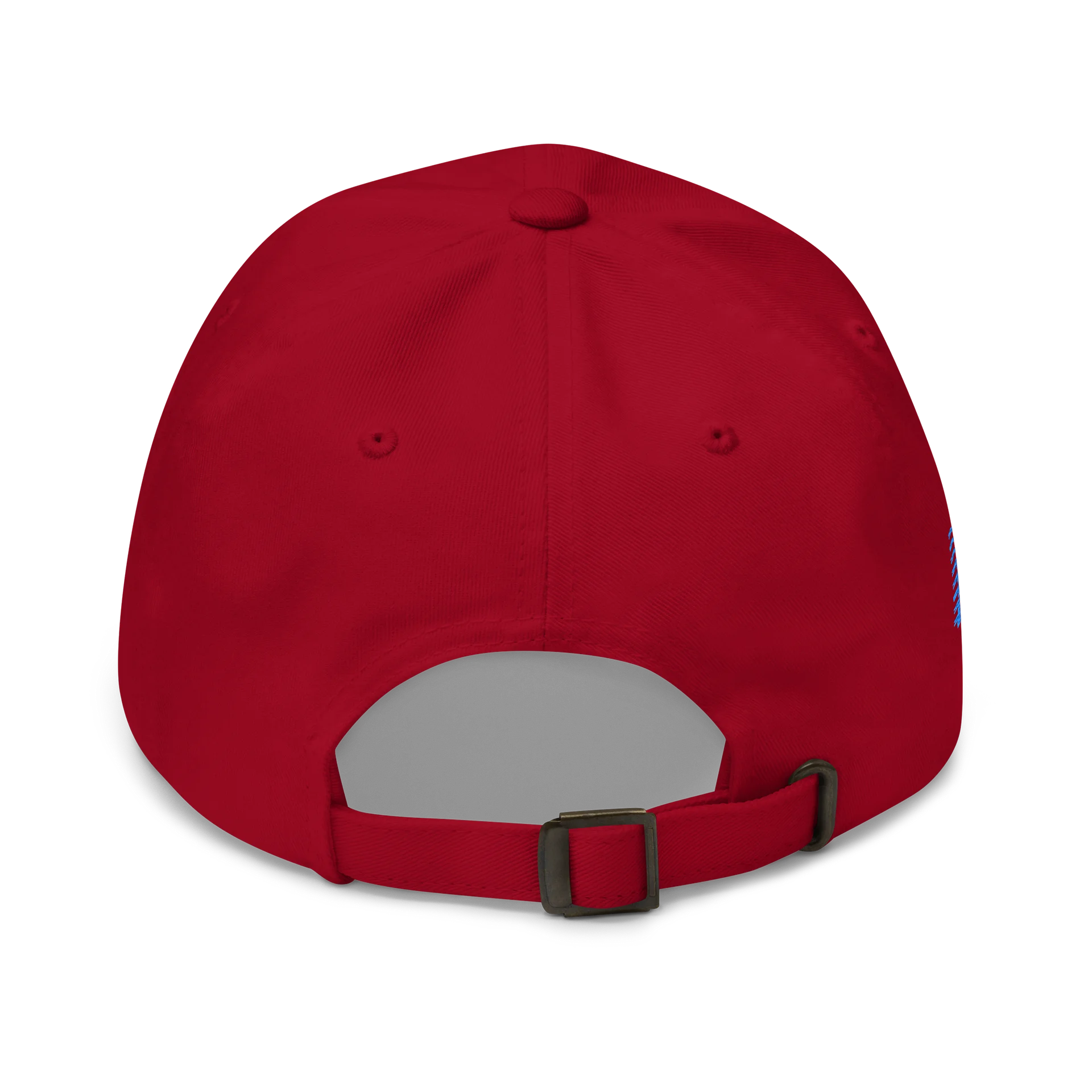 Authenticity Speed Logo hat product image (5)