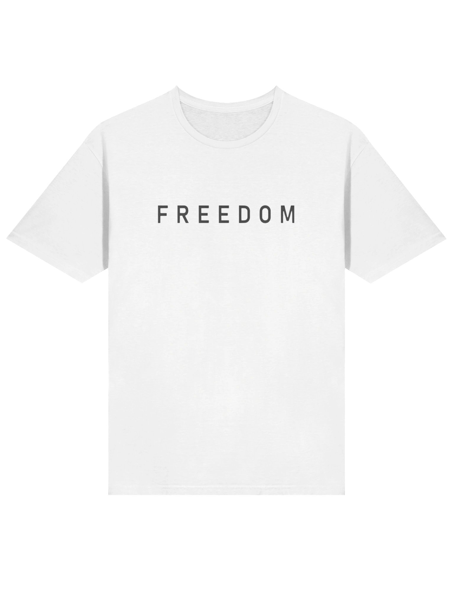 Charlie Kirk Freedom Shirt – Liberty Free Speech & the Pursuit of Truth product image (9)