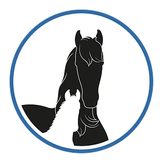 Friesian Horses