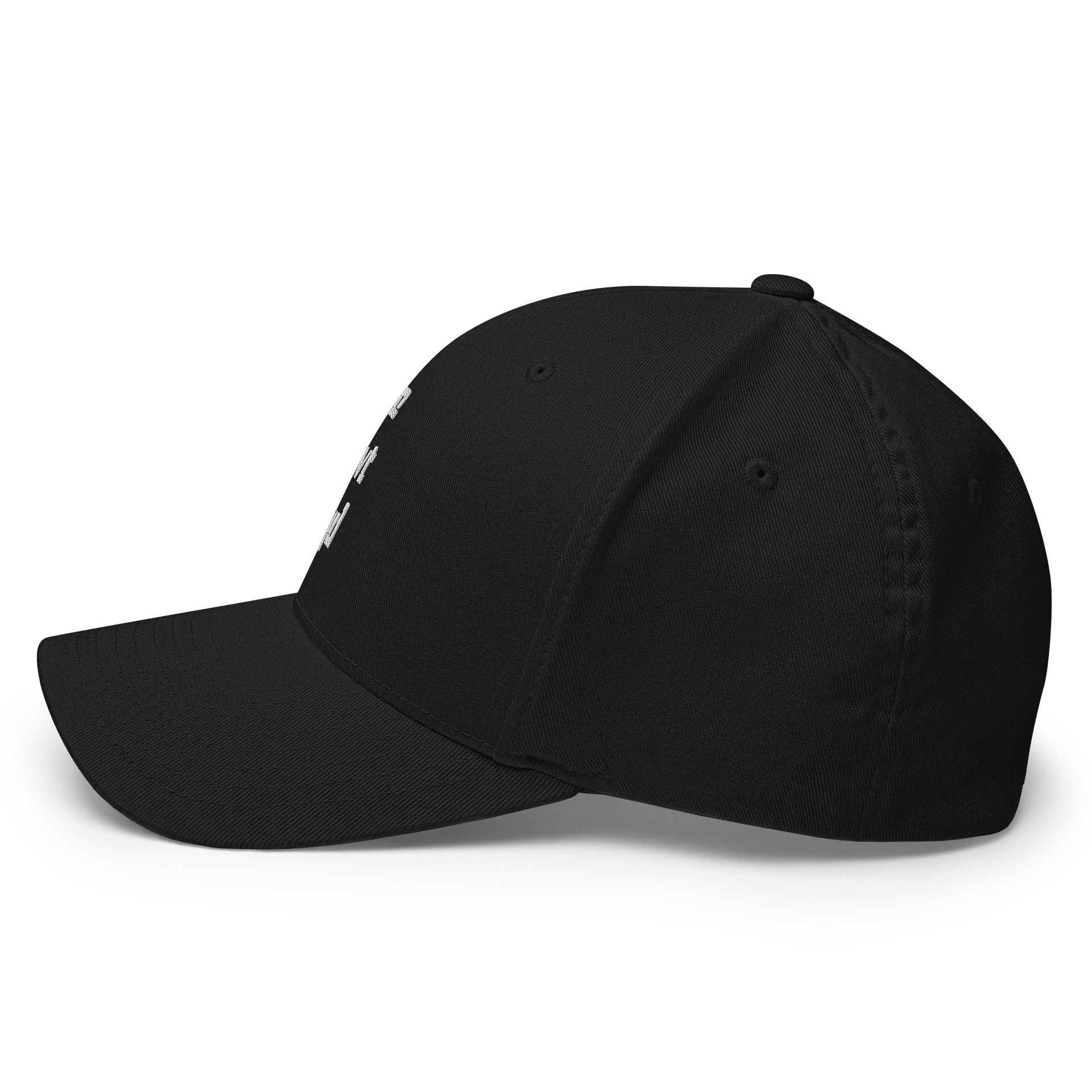 WeOwtsyd Mid Crown Flexfit Hat product image (14)