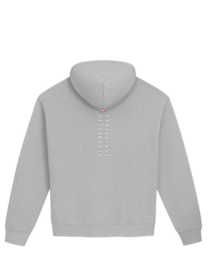 The Classic | PLT Hoodie product image (2)