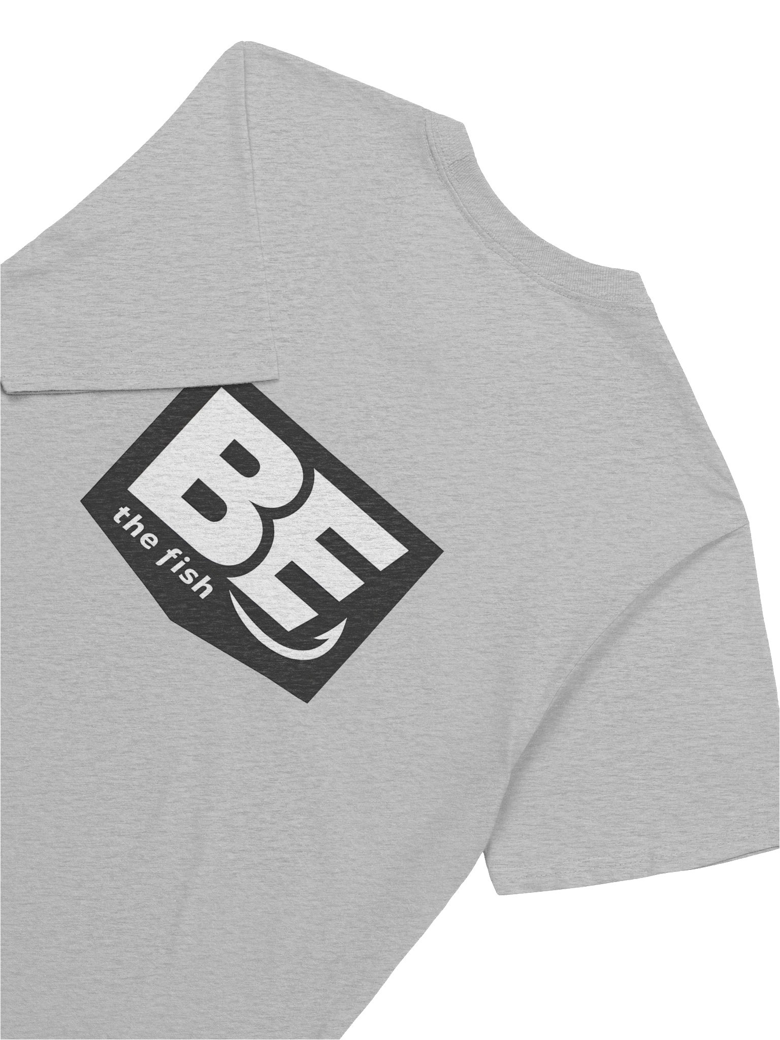 BE the Fish (Chest Logo) T-Shirt product image (37)
