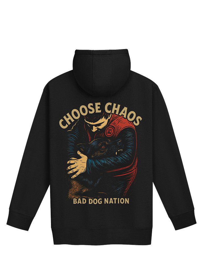 Choose Chaos - Premium Adult Unisex Hoodie product image (1)