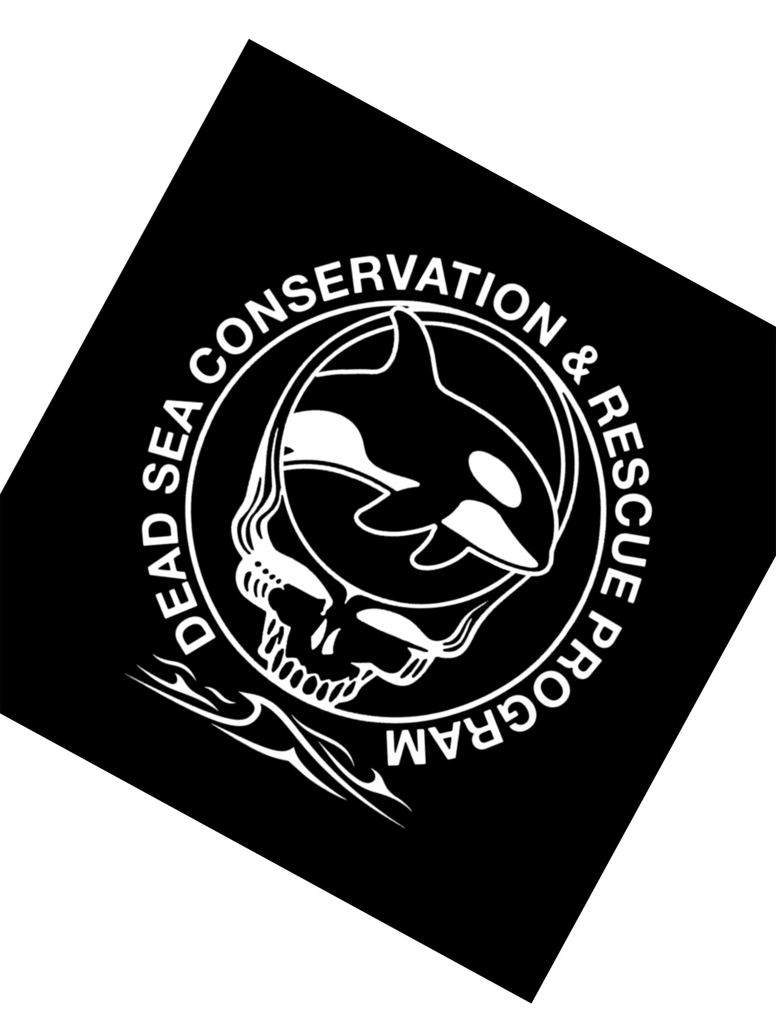 ORCA CONSERVATION STICKER product image (2)