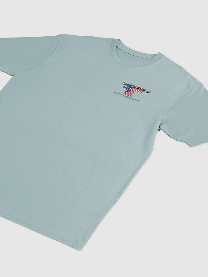 Patriot's Second Amendment Shield Tee product image (10)