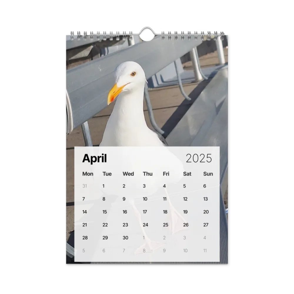 monthly year product image (1)