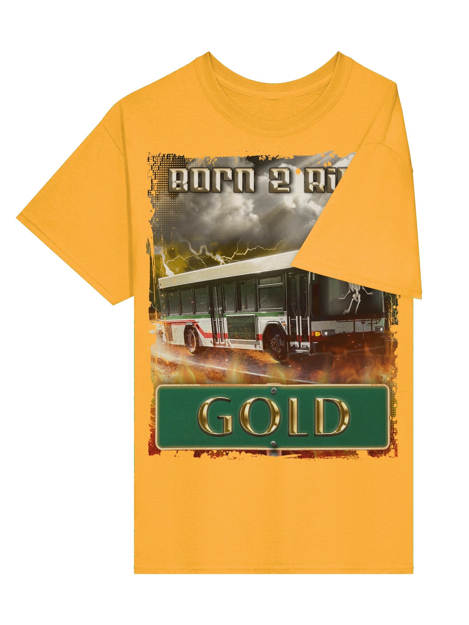 AppalShirt (Gold) product image (5)