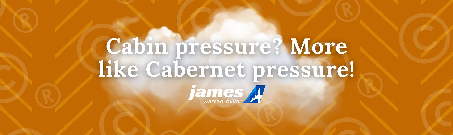 🍷 Cabin Pressure? More Like Cabernet Pressure! - Traveller’s Wine Tumbler product image (3)