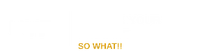 Unlock Your Promise - The SO What!! Guide by Scott L Adams