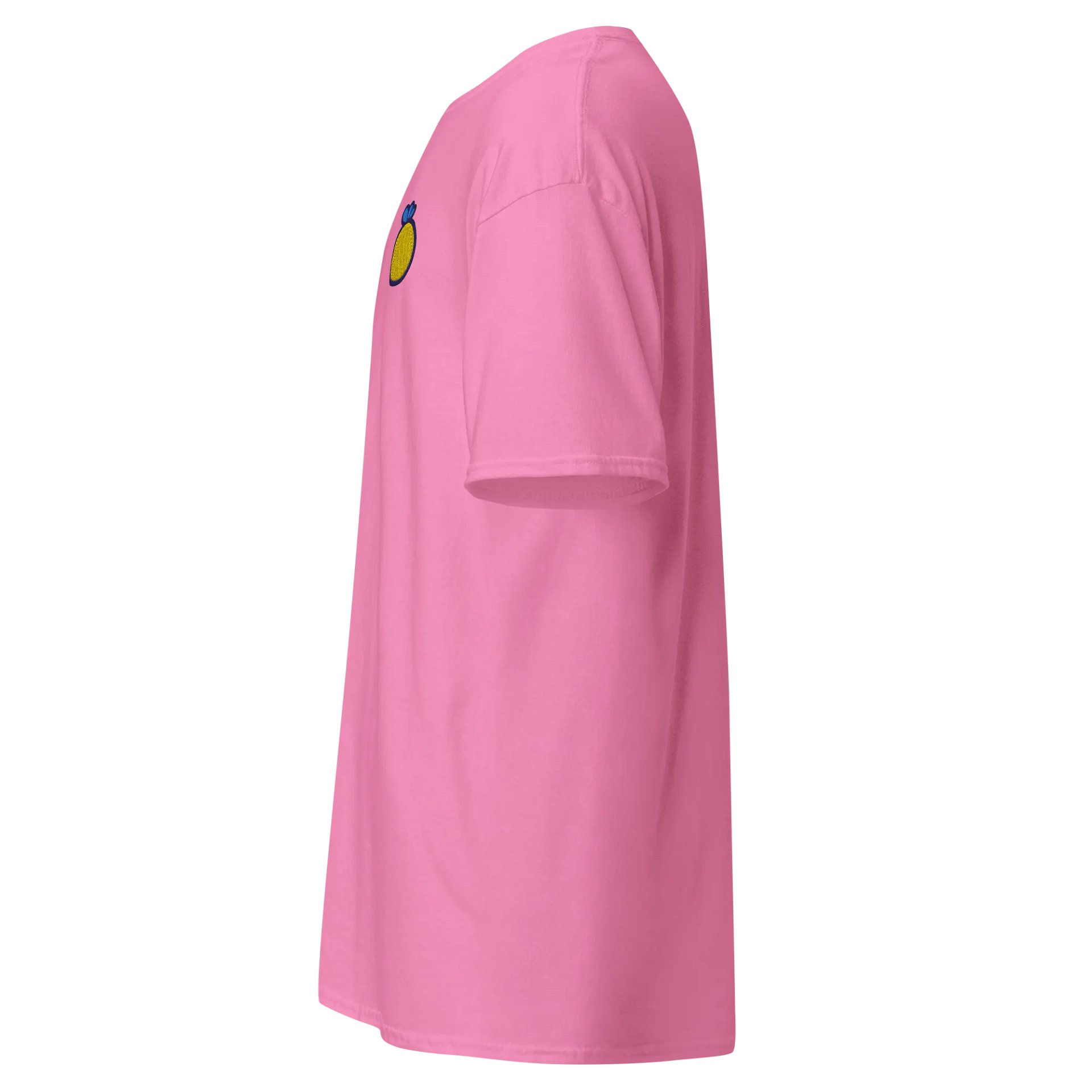 Dummy Pineapple Embroidered Tee product image (2)