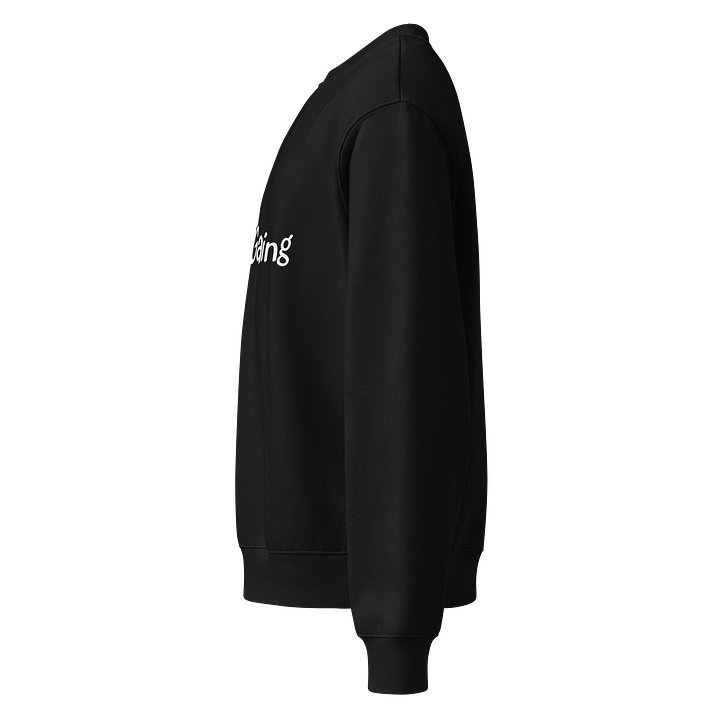 PigeonToast Gaming Crew Neck product image (2)